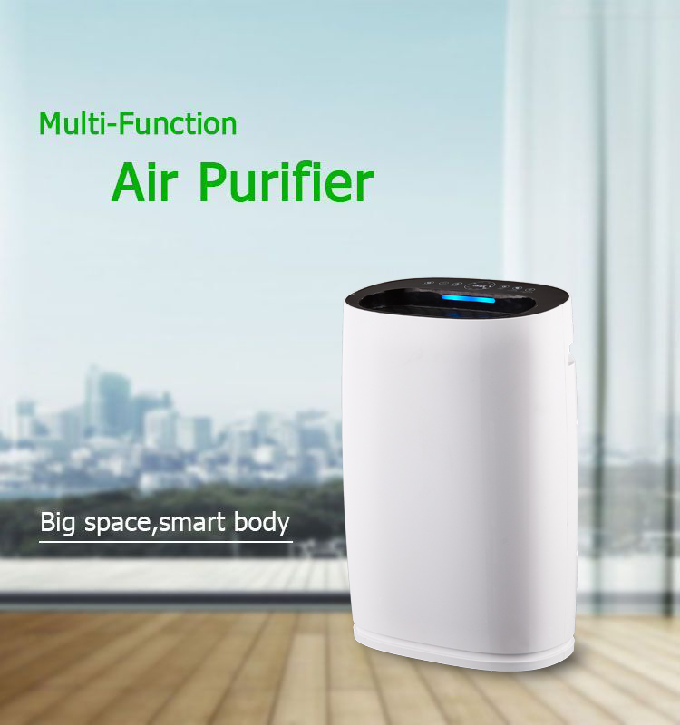 Upgrade Your Living Space with the Ionizer Air Purifier